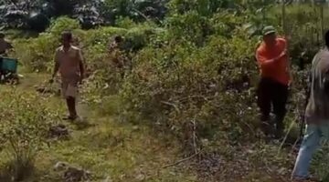 Warga Kutalimbaru Laporkan Dugaan Pelanggaran PT Serdang Hulu ke DPRD dan Kementerian, Belum Ada Tanggapan